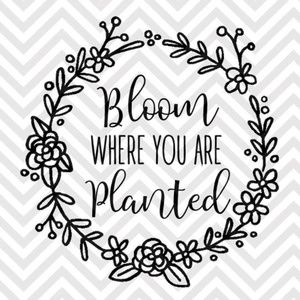 Meet your Posher, Alisa